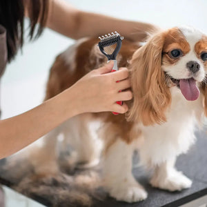 Peine acicalador de mascota | ENVÍO GRATIS